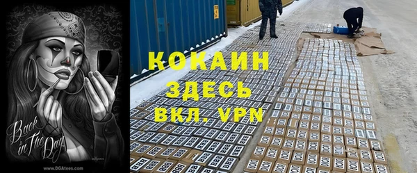 a pvp Новодвинск