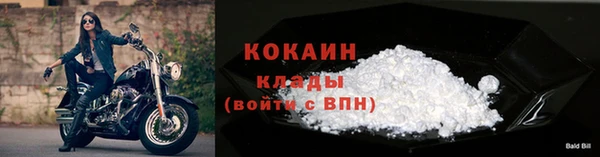 амф Верея