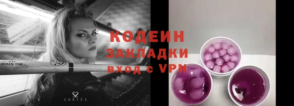 амф Верея