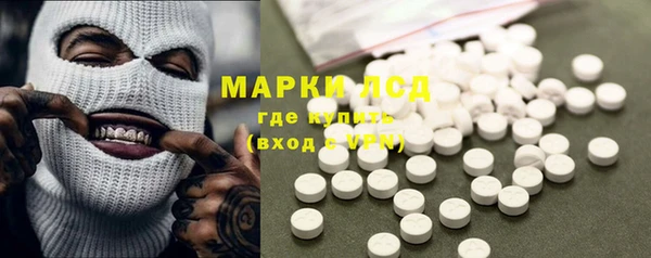 a pvp Новодвинск