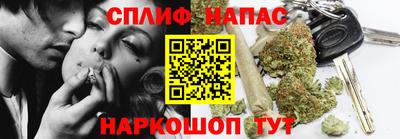 МДПВ Пенза