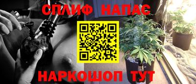 МДПВ Пенза