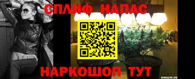 МДПВ Пенза