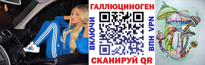 Псилоцибиновые грибы Psilocybe Северодвинск