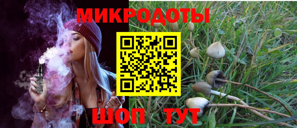 Галлюциногенные грибы GOLDEN TEACHER  Вход с VPN  Северодвинск 